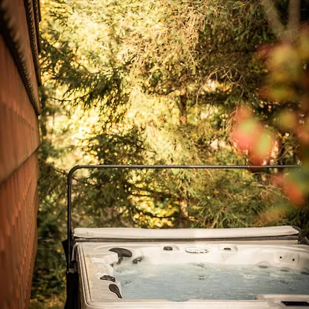 1 - Les Jolis Chalet Barbey-Seroux